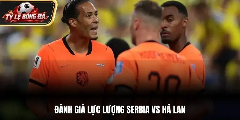 Đánh giá lực lượng Serbia vs Hà Lan