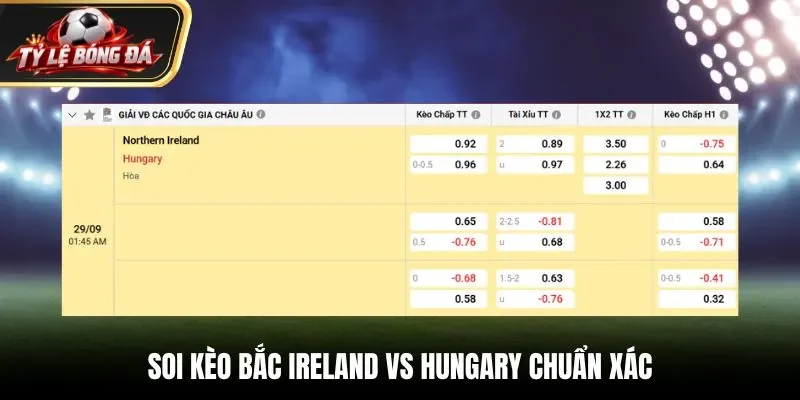 Soi kèo Bắc Ireland vs Hungary chuẩn xác qua bảng tỷ lệ kèo